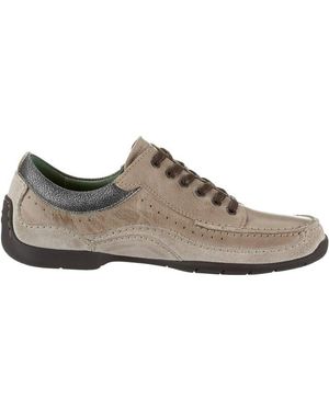 Camel Active 233.11.01 Sneaker - Bruin