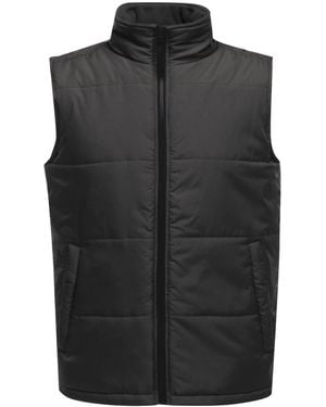 Regatta Access Geïsoleerd Gilet (Afdichting/Zwart)