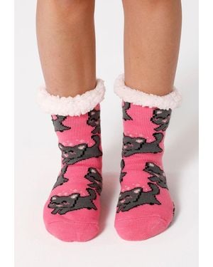 Aloha From Deer "Happy Kitten" Sherpa Sokken - Roze