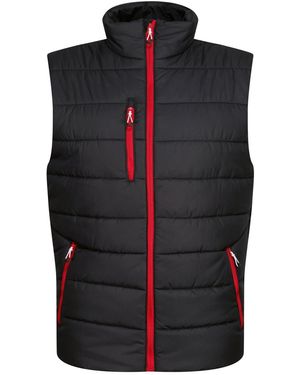 Regatta Navigate Thermisch Gilet /Klassiek Rood) - Zwart