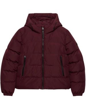 Superdry Jack W5011996A Hooded - Paars