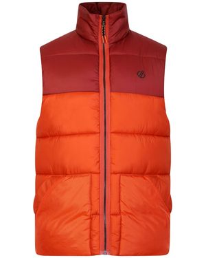 Dare 2b City Padded Gilet (Rooibos Tea/Madder) - Red