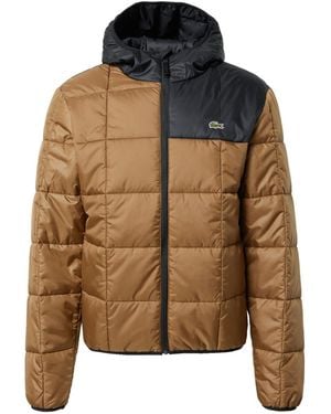 Lacoste Waterdichte Pufferjas Met Kleurblokken - Bruin