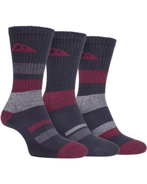Storm Bloc 3 Pack Padded Sole Anti Blister Lightweight Breathable Cotton Walking Hiking Socks For Summer - Blue