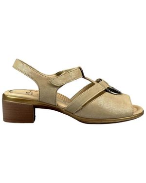 Ara 12-35730 - Metallic