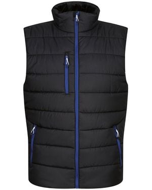 Regatta Navigate Thermisch Gilet /Nieuw Royal) - Blauw