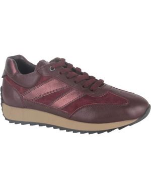 Helioform 272.002-0141 Sneakers - Paars