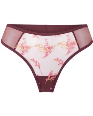 Lingadore String - Roze