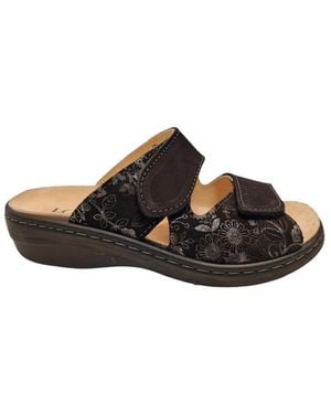 Longo 1135535 - Bruin