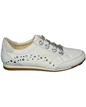 Footnotes 62.006 Wijdte G - Wit