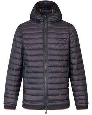 Regatta Haile Padded Jacket - Grey