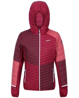 Regatta Trutton Pufferjas /Rumba-Rood)