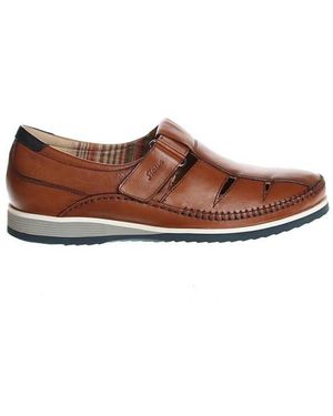 Sioux Hajoko-702 37851 - Bruin