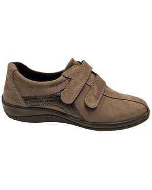 Longo 1135577 - Bruin