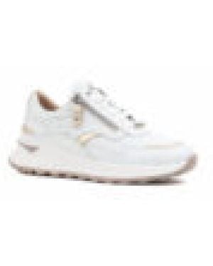 Footnotes 15.005.1020 - Wit