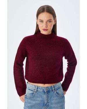 MixRay Gecropte Textured Breiseltrui - Rood