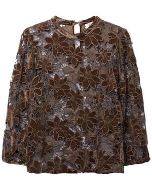 Aaiko Shaila Velvet Pes 500 - Bruin