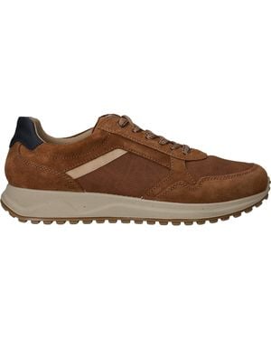 Imac Saronno Sneakers - Bruin