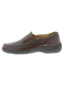 SOLIDUS Natura H - Bruin