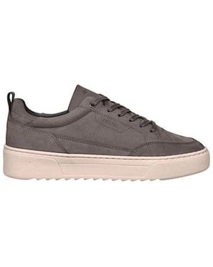 Cycleur De Luxe Cdlm262060 Legacy - Grijs