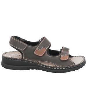 Rohde 5888 72-Mocca - Bruin