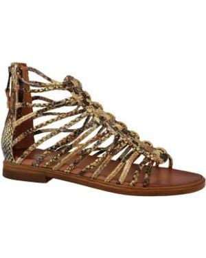 Mjus Sandalen - Bruin