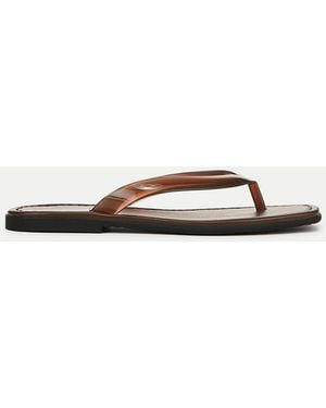 Veronica Beard Clea Jelly Flip-flop Sandal - Multicolor