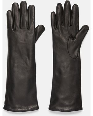 Vince Cashmere-lined Medium Leather Glove, Black, Size L