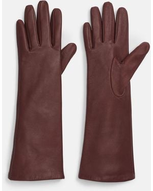 Vince Cashmere-Lined Medium Leather Glove - Purple