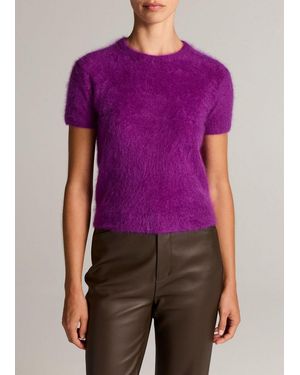 Vince Brushed Cashmere Short-Sleeve Sweater - Purple