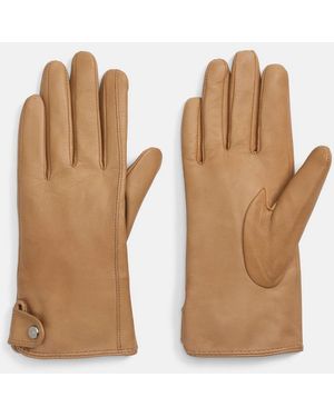 Vince Cashmere-Lined Leather Snap Glove - Natural