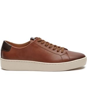 Vince Camuto Hallman Casual Sneaker - Brown