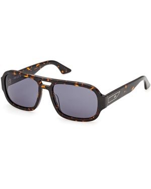 Gcds Gd0080 52V Sunglasses Acetate Geometric Normal - Black