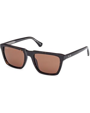 Web We0379 56E Sunglasses Acetate Squared Normal - Black
