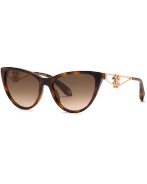 Roberto Cavalli Src158M 9Ajk Sunglasses Acetate Butterfly Normal Nuanced - Black
