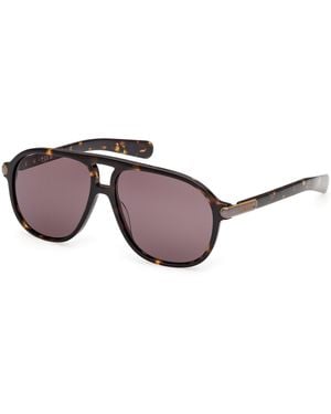 adidas Or0136 52E Sunglasses Acetate Pilot Normal - Black