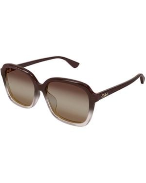 Chloé Ch0390Sk 003 Sunglasses Acetate Squared Nuanced - Black