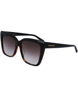 Ferragamo Sf1102S 006 Sunglasses Acetate Squared Normal Normal - Black