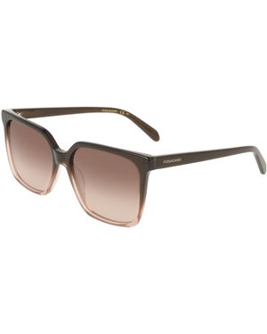 Ferragamo Sf2102S 234 Sunglasses Acetate Squared Normal - Black