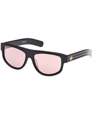 adidas Or0126 01Z Sunglasses Acetate Cat Eye Normal - Black