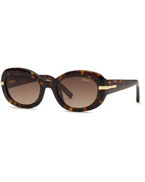 Chopard Sch414M 04Bl Sunglasses Acetate Geometric Anti-Glare Nuanced - Black