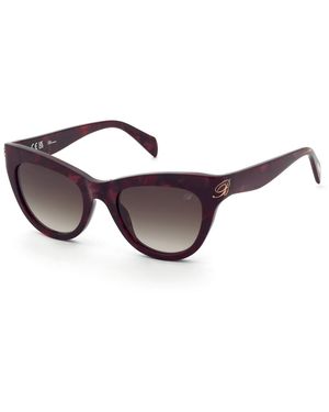 Blumarine Sbm904 09E7 Sunglasses Acetate Cat Eye Normal Nuanced - Black