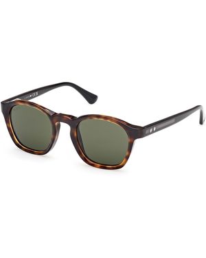 Web We0384 55N Sunglasses Acetate Round Normal - Green