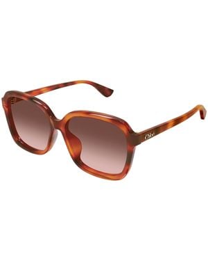 Chloé Ch0390Sk 002 Sunglasses Acetate Copper Squared Nuanced - Black