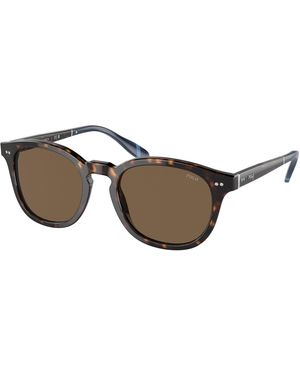 Polo Ralph Lauren Ph4206 500373 Sunglasses Acetate Pantos Normal - Black