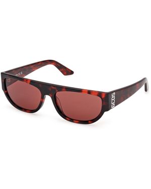 Gcds Gd0062 54S Sunglasses Acetate Bordeaux Geometric Normal - Red