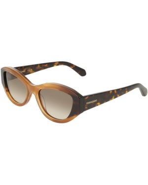 Ferragamo Sf2104S 264 Sunglasses Acetate Round Normal - Black
