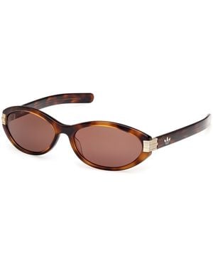 adidas Or0129 52E Sunglasses Acetate Round Normal - Multicolour