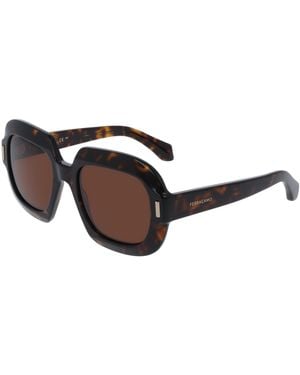Ferragamo Sf2068Se 242 Sunglasses Acetate Butterfly Normal - Black