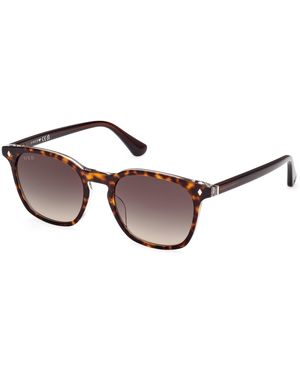 Web We0364 56B Sunglasses Acetate Smoke Round Normal Shaded - Black